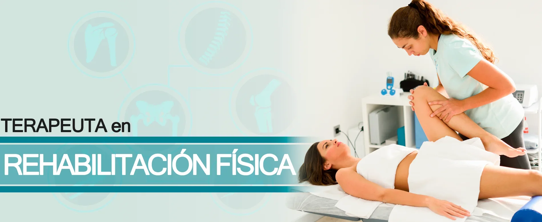 Imagen de sección