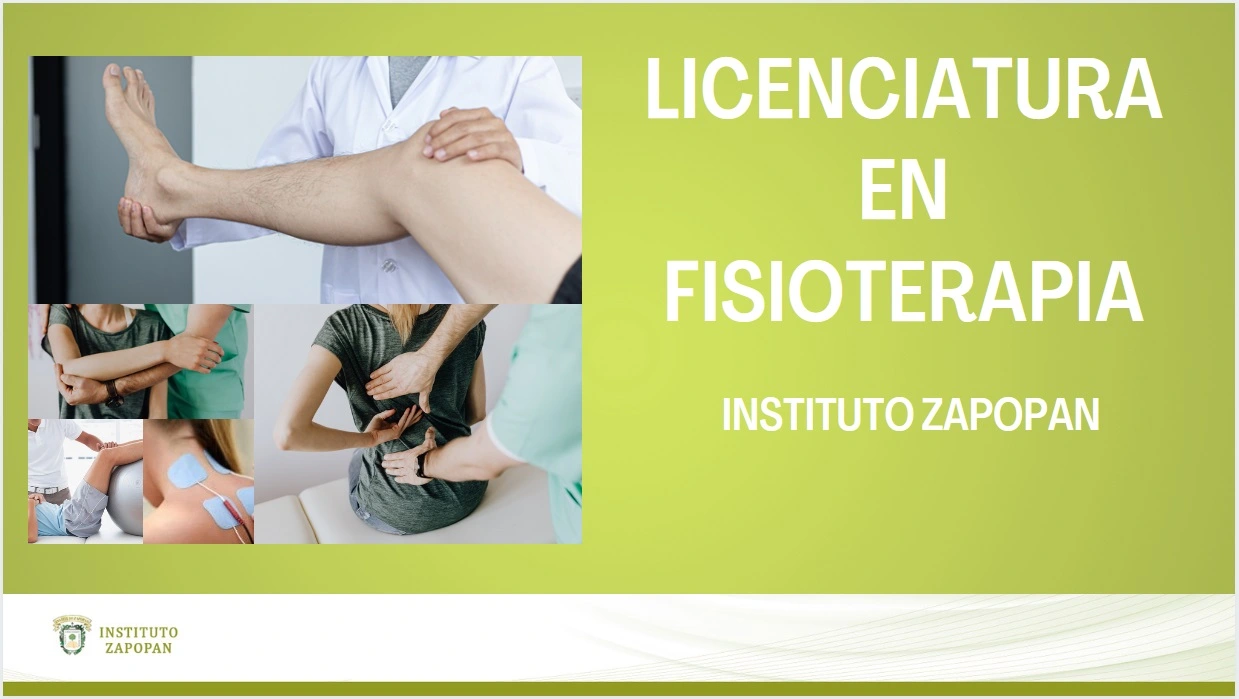 Imagen de sección